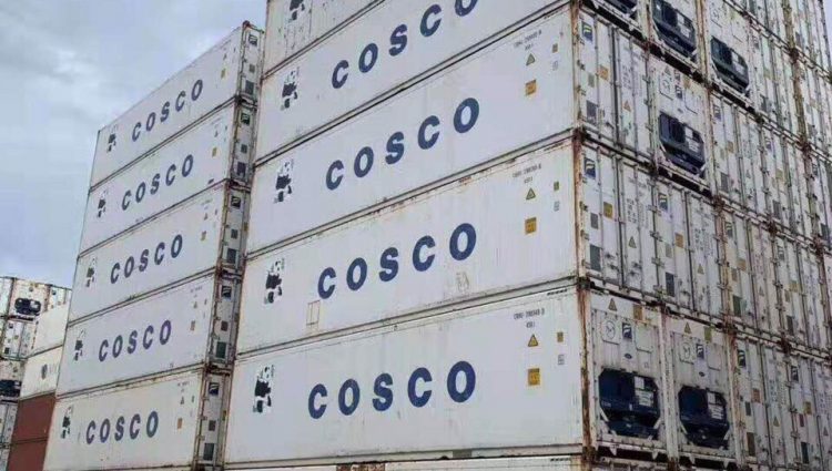 Cho thuê container lạnh 20 feet, 40 feet rẻ nhất Hà Nam