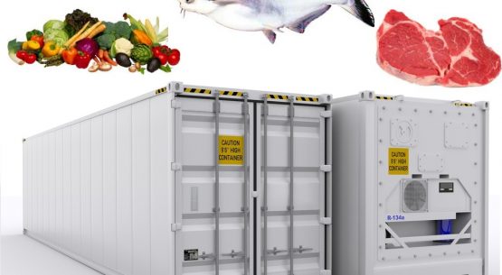 Container lạnh 20 feet giá rẻ tại Quảng Ninh