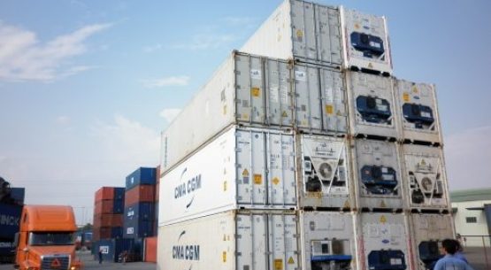 Thuê Container lạnh 20 feet tại Thái Bình để vận chuyển thực phẩm tươi sống.